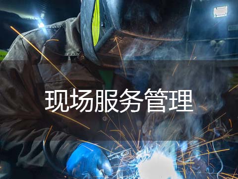 售后服务管理系统现场服务管理.jpg