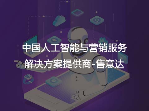 售意达-人工智能与营销服务解决方案提供商.jpg